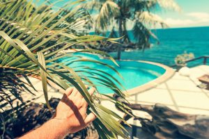 person holding green palm tree
